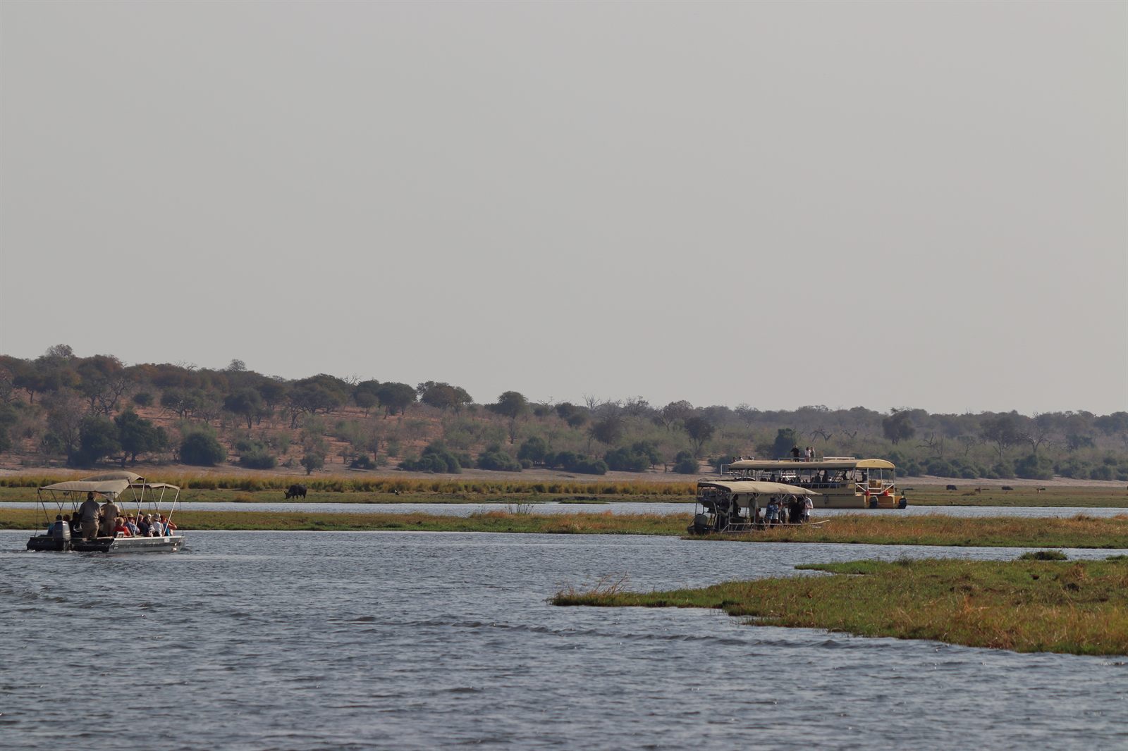Small boats on the Chobe River
